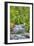 Sol Doc River, Olympic National Park, UNESCO World Heritage Site-Richard Maschmeyer-Framed Premium Photographic Print