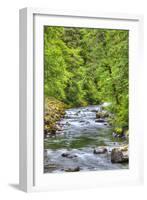 Sol Doc River, Olympic National Park, UNESCO World Heritage Site-Richard Maschmeyer-Framed Premium Photographic Print