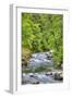 Sol Doc River, Olympic National Park, UNESCO World Heritage Site-Richard Maschmeyer-Framed Premium Photographic Print