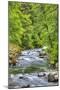Sol Doc River, Olympic National Park, UNESCO World Heritage Site-Richard Maschmeyer-Mounted Premium Photographic Print
