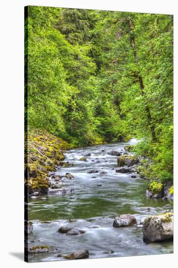 Sol Doc River, Olympic National Park, UNESCO World Heritage Site-Richard Maschmeyer-Stretched Canvas