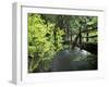 Sol Duc Creek in Old-Growth Rainforest, Olympic National Park, Washington, USA-Stuart Westmoreland-Framed Premium Photographic Print