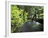 Sol Duc Creek in Old-Growth Rainforest, Olympic National Park, Washington, USA-Stuart Westmoreland-Framed Photographic Print