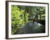 Sol Duc Creek in Old-Growth Rainforest, Olympic National Park, Washington, USA-Stuart Westmoreland-Framed Photographic Print