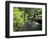 Sol Duc Creek in Old-Growth Rainforest, Olympic National Park, Washington, USA-Stuart Westmoreland-Framed Photographic Print