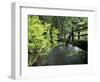 Sol Duc Creek in Old-Growth Rainforest, Olympic National Park, Washington, USA-Stuart Westmoreland-Framed Photographic Print