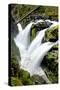 Sol Duc Falls I-Douglas Taylor-Stretched Canvas