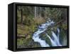 Sol Duc Falls in Olympic National Park, Washington State, USA-Chuck Haney-Framed Stretched Canvas