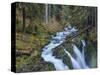 Sol Duc Falls in Olympic National Park, Washington State, USA-Chuck Haney-Stretched Canvas