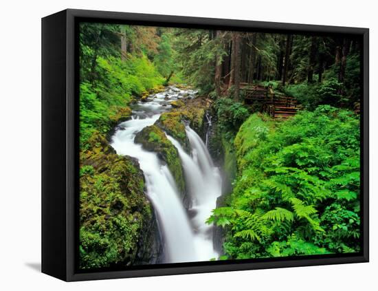 Sol Duc Falls in Olympic National Park, Washington, USA-Chuck Haney-Framed Stretched Canvas