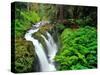 Sol Duc Falls in Olympic National Park, Washington, USA-Chuck Haney-Stretched Canvas