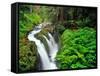 Sol Duc Falls in Olympic National Park, Washington, USA-Chuck Haney-Framed Stretched Canvas