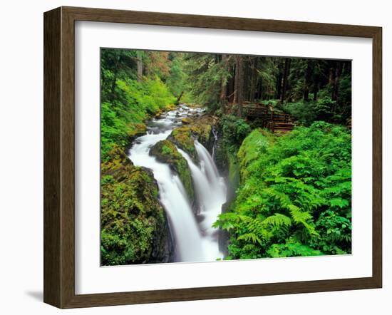 Sol Duc Falls in Olympic National Park, Washington, USA-Chuck Haney-Framed Photographic Print