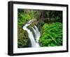 Sol Duc Falls in Olympic National Park, Washington, USA-Chuck Haney-Framed Photographic Print