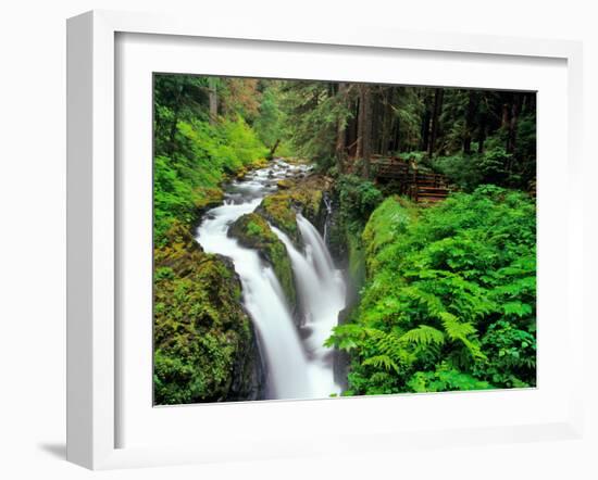 Sol Duc Falls in Olympic National Park, Washington, USA-Chuck Haney-Framed Photographic Print