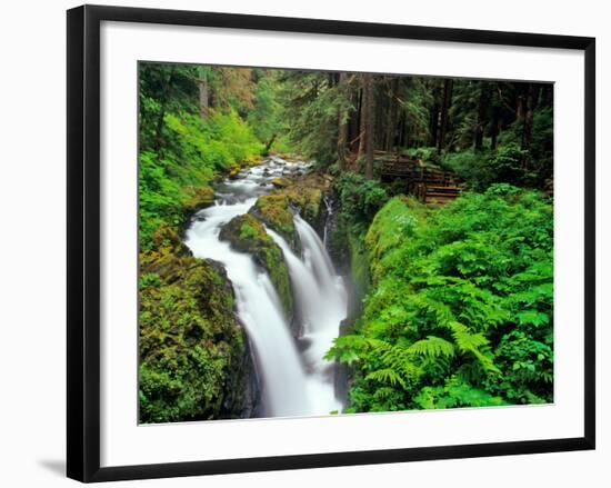 Sol Duc Falls in Olympic National Park, Washington, USA-Chuck Haney-Framed Photographic Print