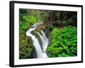 Sol Duc Falls in Olympic National Park, Washington, USA-Chuck Haney-Framed Photographic Print