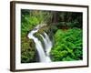 Sol Duc Falls in Olympic National Park, Washington, USA-Chuck Haney-Framed Photographic Print