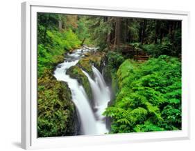 Sol Duc Falls in Olympic National Park, Washington, USA-Chuck Haney-Framed Photographic Print