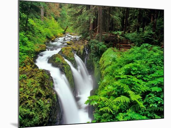 Sol Duc Falls in Olympic National Park, Washington, USA-Chuck Haney-Mounted Photographic Print