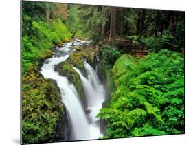 Sol Duc Falls in Olympic National Park, Washington, USA-Chuck Haney-Mounted Photographic Print