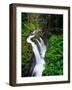 Sol Duc Falls in Olympic National Park, Washington, USA-Chuck Haney-Framed Photographic Print