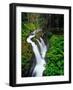 Sol Duc Falls in Olympic National Park, Washington, USA-Chuck Haney-Framed Photographic Print