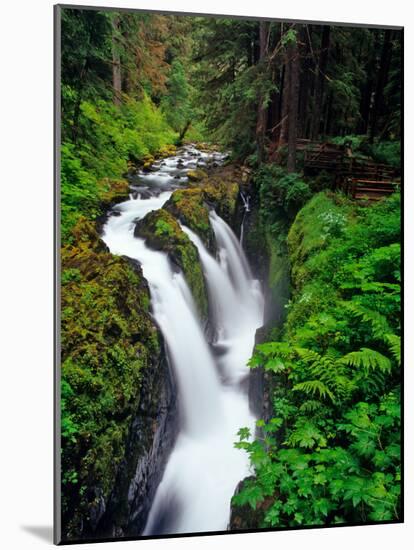 Sol Duc Falls in Olympic National Park, Washington, USA-Chuck Haney-Mounted Photographic Print