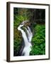 Sol Duc Falls in Olympic National Park, Washington, USA-Chuck Haney-Framed Photographic Print