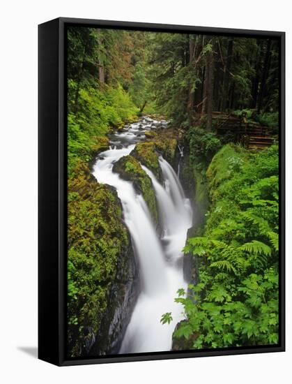 Sol Duc Falls in Olympic National Park, Washington, USA-Chuck Haney-Framed Stretched Canvas