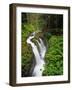 Sol Duc Falls in Olympic National Park, Washington, USA-Chuck Haney-Framed Photographic Print