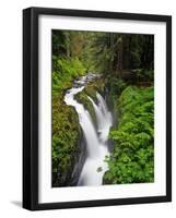 Sol Duc Falls in Olympic National Park, Washington, USA-Chuck Haney-Framed Photographic Print