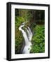 Sol Duc Falls in Olympic National Park, Washington, USA-Chuck Haney-Framed Photographic Print