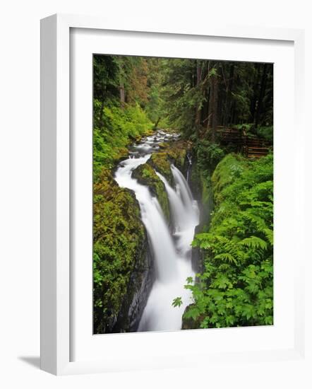 Sol Duc Falls in Olympic National Park, Washington, USA-Chuck Haney-Framed Photographic Print