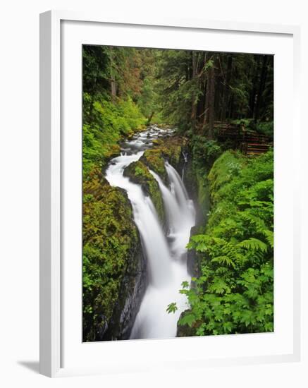 Sol Duc Falls in Olympic National Park, Washington, USA-Chuck Haney-Framed Photographic Print