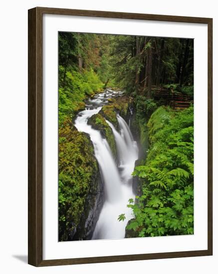 Sol Duc Falls in Olympic National Park, Washington, USA-Chuck Haney-Framed Photographic Print