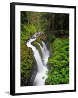 Sol Duc Falls in Olympic National Park, Washington, USA-Chuck Haney-Framed Photographic Print