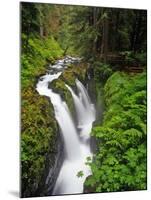 Sol Duc Falls in Olympic National Park, Washington, USA-Chuck Haney-Mounted Photographic Print