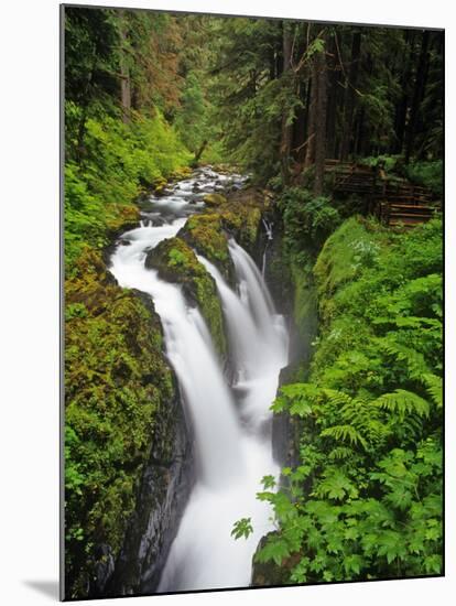 Sol Duc Falls in Olympic National Park, Washington, USA-Chuck Haney-Mounted Photographic Print