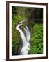 Sol Duc Falls in Olympic National Park, Washington, USA-Chuck Haney-Framed Photographic Print