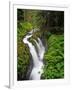 Sol Duc Falls in Olympic National Park, Washington, USA-Chuck Haney-Framed Photographic Print