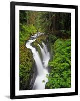 Sol Duc Falls in Olympic National Park, Washington, USA-Chuck Haney-Framed Photographic Print