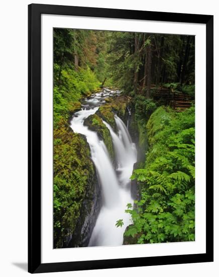 Sol Duc Falls in Olympic National Park, Washington, USA-Chuck Haney-Framed Photographic Print