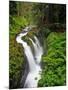 Sol Duc Falls in Olympic National Park, Washington, USA-Chuck Haney-Mounted Photographic Print