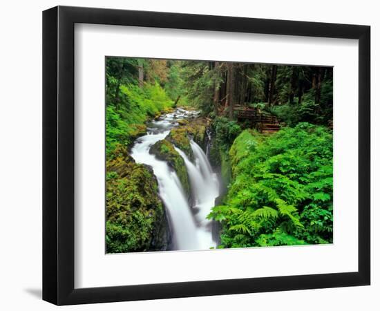 Sol Duc Falls in Olympic National Park, Washington, USA-Chuck Haney-Framed Photographic Print