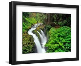 Sol Duc Falls in Olympic National Park, Washington, USA-Chuck Haney-Framed Photographic Print