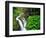 Sol Duc Falls in Olympic National Park, Washington, USA-Chuck Haney-Framed Photographic Print