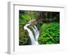 Sol Duc Falls in Olympic National Park, Washington, USA-Chuck Haney-Framed Photographic Print