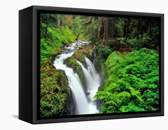 Sol Duc Falls in Olympic National Park, Washington, USA-Chuck Haney-Framed Stretched Canvas