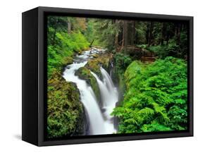 Sol Duc Falls in Olympic National Park, Washington, USA-Chuck Haney-Framed Stretched Canvas